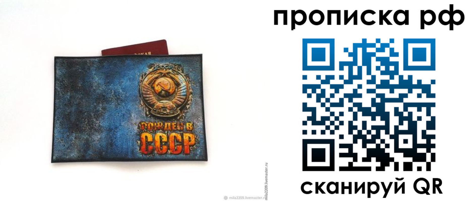 прописка гарантия в Ставрополе